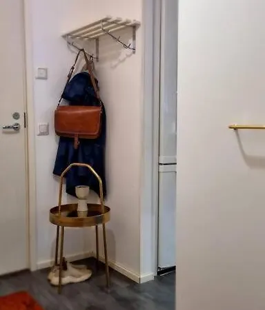Apartment Tyylikas Ja Tilava Yksio Kuopion Ydinkeskustassa Kuopio